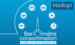 Impact de la crise sanitaire sur la consommation de biens culturels en ligne